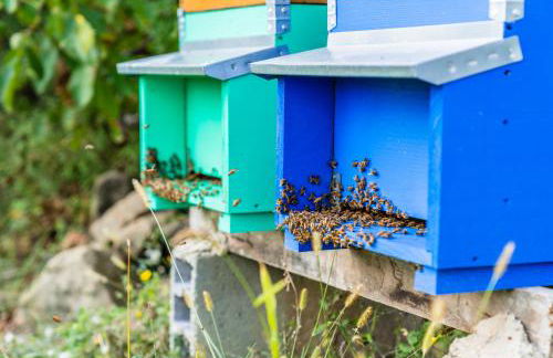 Agriturismo la Casina - Foto 17