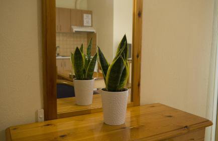 Fani Hotel - Foto 72