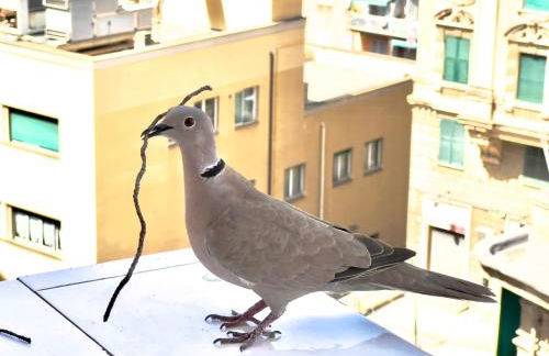 Home Sweet Home nel cuore di Genova - Foto 21