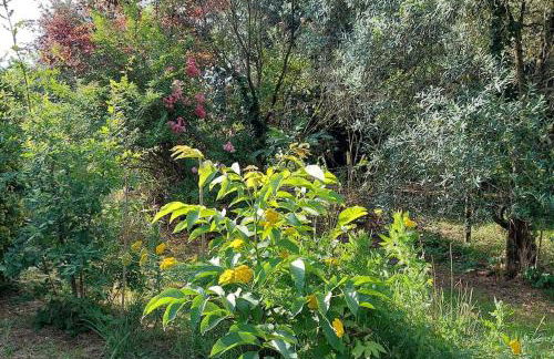 Maison de campagne avec jardin - Foto 16