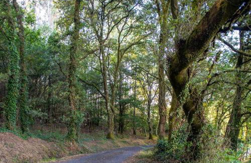 Casa Peón de Pardaces - Photo 50