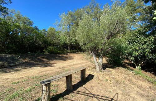 Maison au calme piscine mer au coeur de la nature U Nuciolu - Foto 43