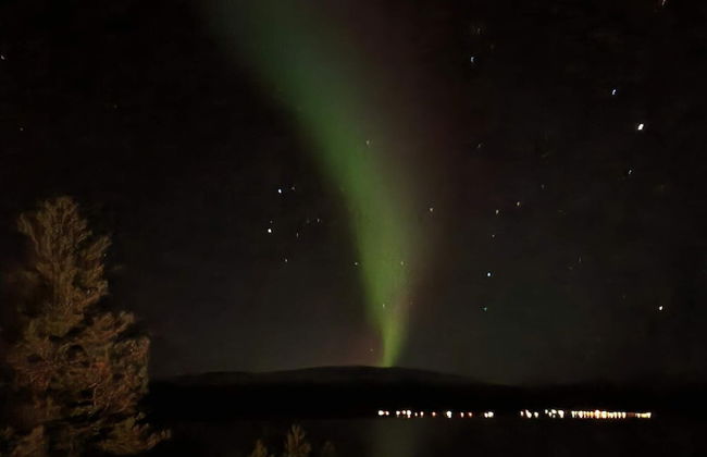 4 Person Holiday Home in Sorstraumen - Foto 25