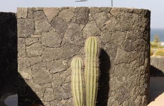 Canaryislandshost I Natural - Foto 39