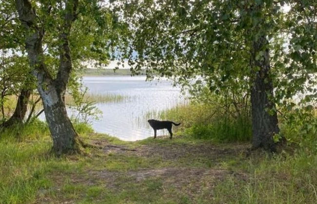 The Fischerhaus on Lake Malkwitzer See - Foto 17