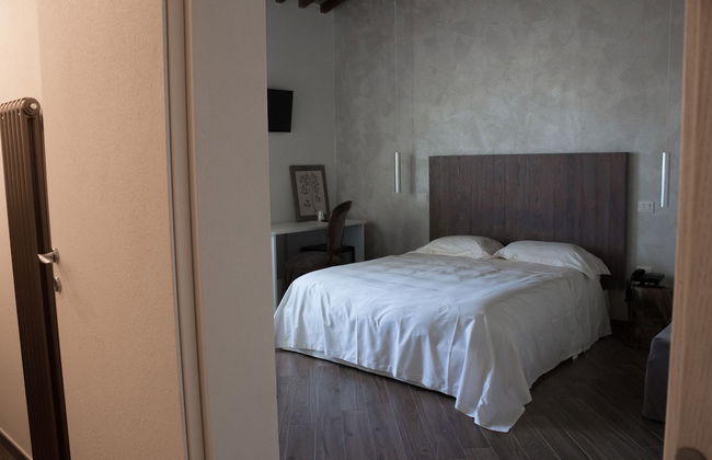 Fattoria L'Olmetto - Foto 34