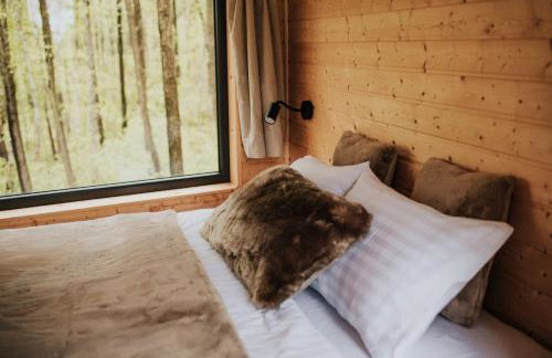 Dziki Las - domki na drzewach - Foto 3