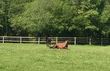 La Maison de l'Etang - Photo 38
