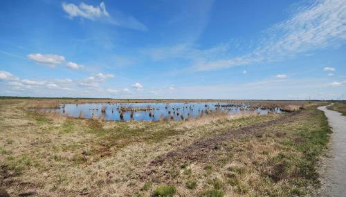 Ferienwohnung Luisa 35607 - Photo 4