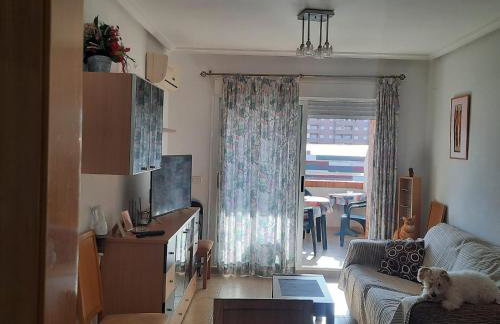 Apartamento Magic World Oropesa - Photo 5