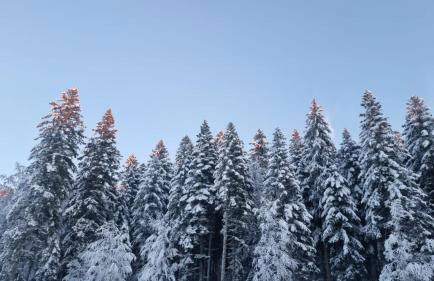 Appartement T3 60m2 calme - Foto 25