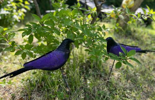Wohnen & Bergblick - Foto 36