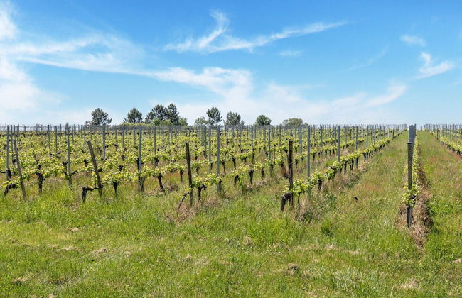 Elegant Chateau Escape - Foto 79