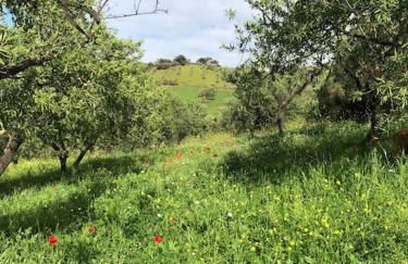 Paraiso Baja - Foto 24