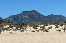 Gandia Beach - Foto 18