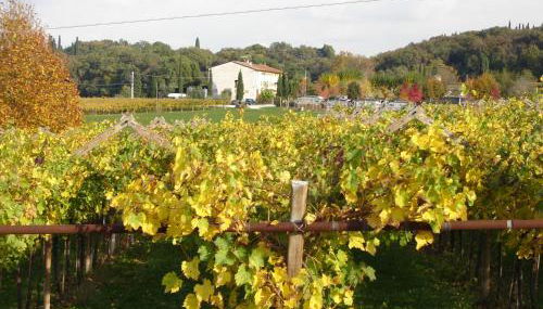 Agriturismo Le Caldane - Photo 5