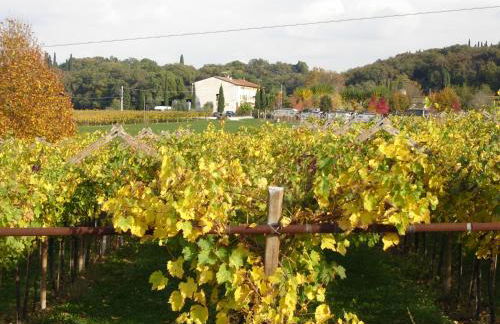 Agriturismo Le Caldane - Photo 5