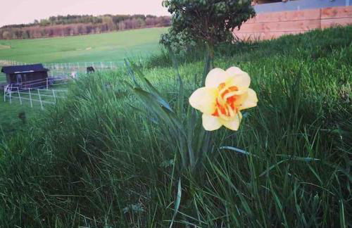 FeWoMonCIAO2019-Panorama 2Pers bis max4Pers - Foto 39