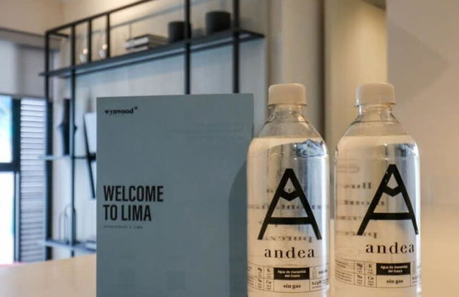 w Perfect 1BR in Barranco - Photo 4