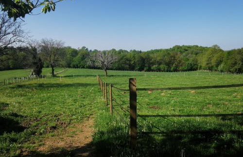 Gîte dans ancien corps de ferme à 5mn de Pompadour - Foto 51