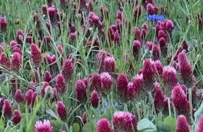 Sky Ranch 1 BR - Foto 34