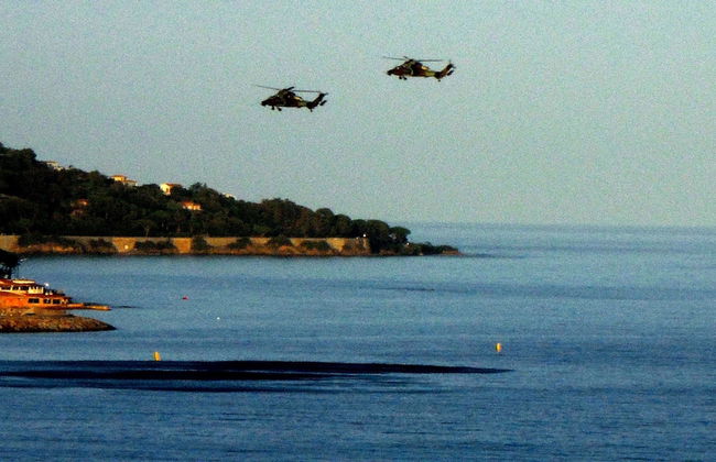 Lou Trelus - Foto 46