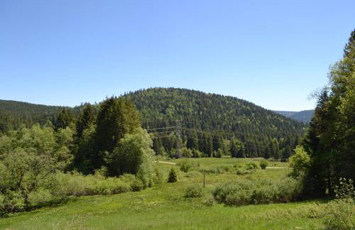 LE CHALET VOSGIEN bain nordique Kota Grill - Foto 32