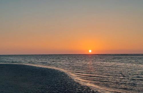 Friesenrose Süd - Foto 21