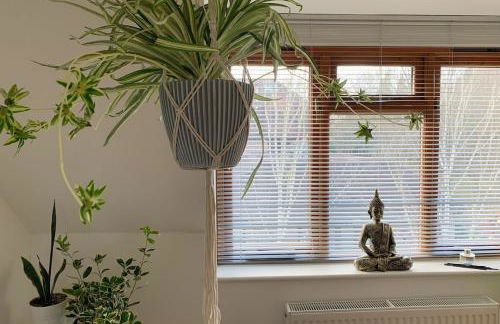 Salvi's Hideout - Foto 20