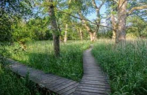 Courtyard Cottage - Photo 8