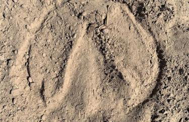 Modern, Stylish lodge with Paddock Views - Foto 22