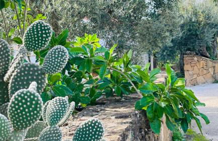 Casa amunì - Foto 16