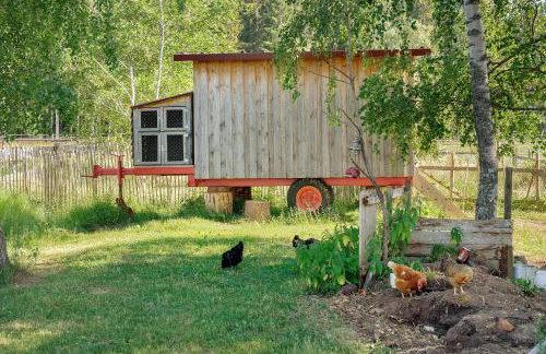 Das Falken Nest - Foto 33
