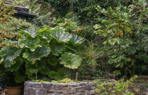 Hope Cottage - Foto 21