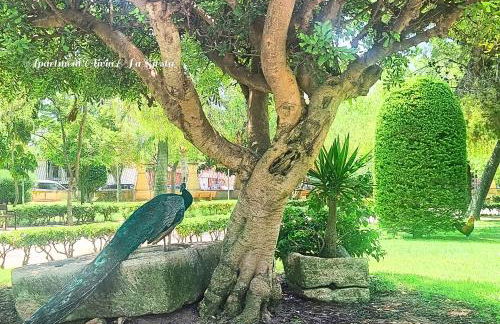 Apartment La Siesta - Foto 29