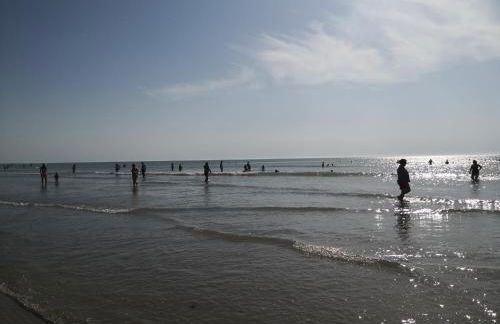 La maison du bout - Foto 43