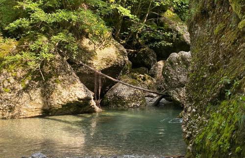 Gipfel Stuben - Foto 28