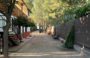 Finca Los Molinos - Foto 41