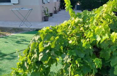 Elena's country house - Photo 12