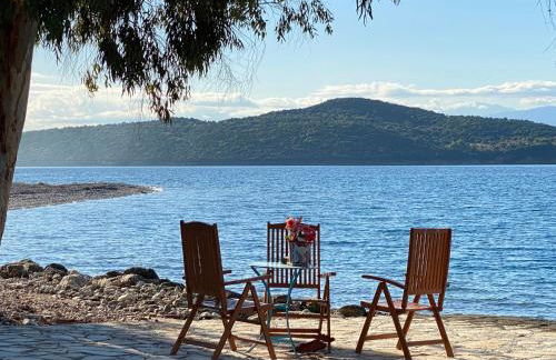 Blumenhaus (Spiti Louloudia) - Foto 57