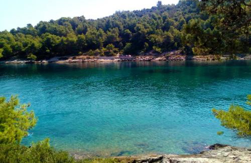 Apartman Matan, Postira - Photo 14