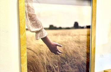 Le Muretain parking gartuit à proximité - Foto 25