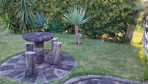 Casa Santa - Photo 3, Garden