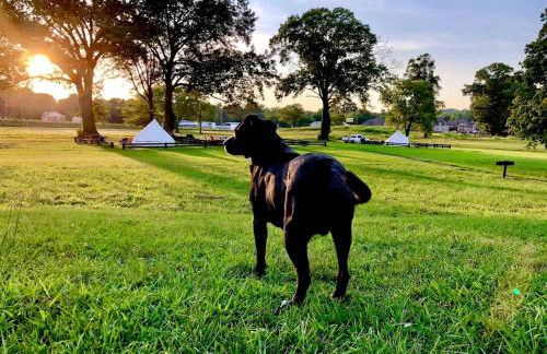 Rustic Horse Stall Suite B&B Near Nashville and has Private Bath, Loft Beds & Country Breakfast - Foto 24