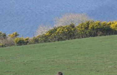 Beautiful spacious old schoolhouse with stunning sea views and beach nearby - Foto 35