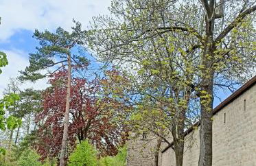 Noclegi, Słoneczne Mieszkanie we Lwówku Śląskim - Foto 22