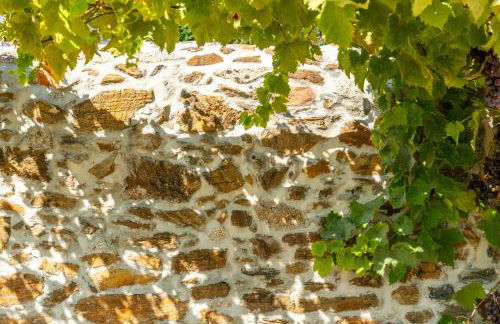 Casa Da Brêa Viana do Castelo - Villa & Apartment - Photo 39