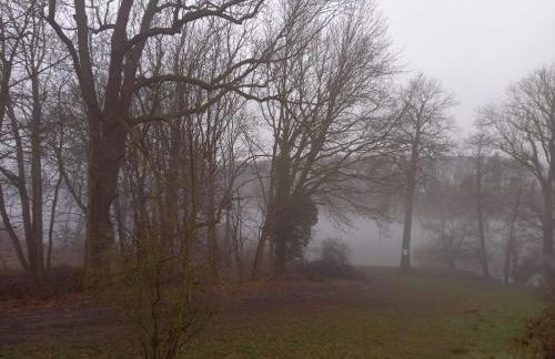 Schwandt-ein Bungalow mit Wasserblick, Ruderboot auf Anfrage - Foto 24