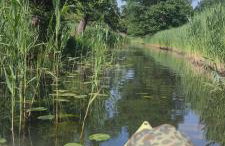 Żurawisko - Domki wśród natury - Foto 19