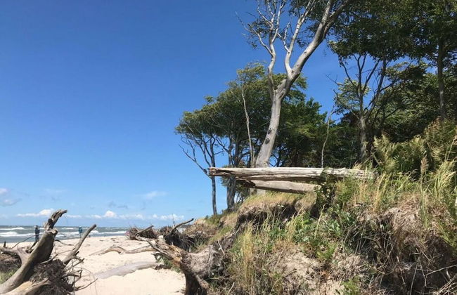 Am Rotdorn Modern Retreat - Foto 19